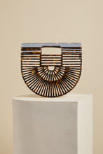 Acrylic Ark - Tortoise